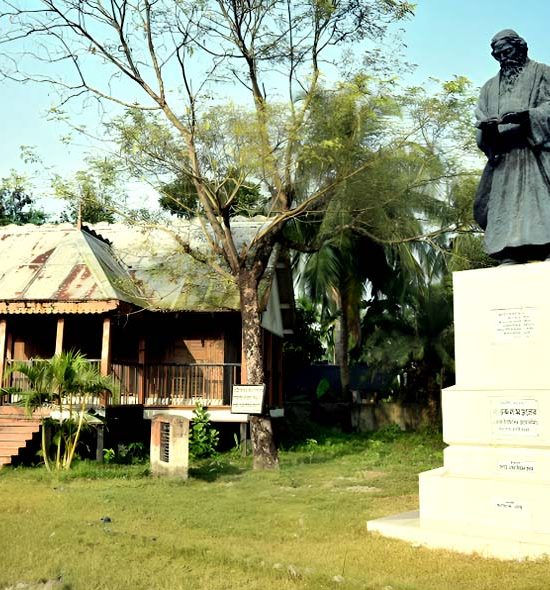 Sundarban Gallery