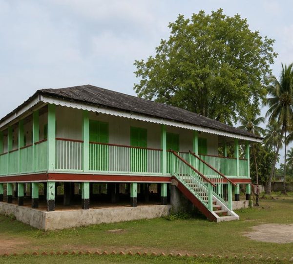 Sundarban Gallery