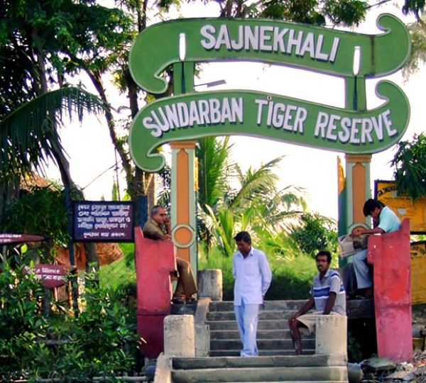 Sundarban Gallery