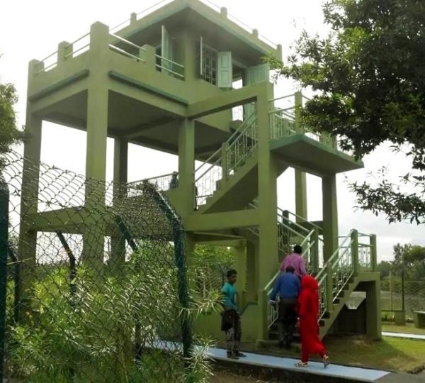 Sundarban Gallery
