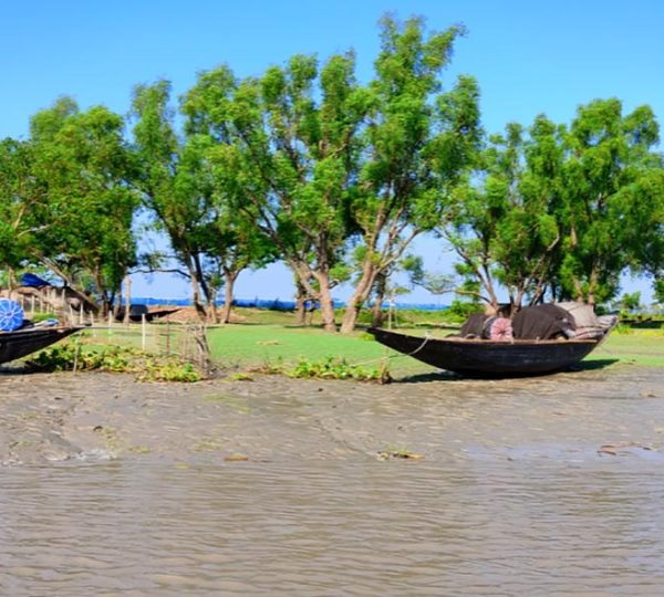 Sundarban Gallery