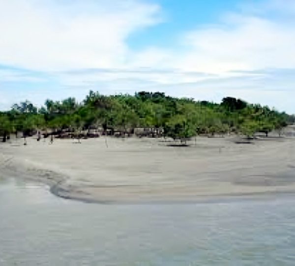 Sundarban Gallery