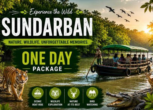 Sundarban 1 Day Tour Package