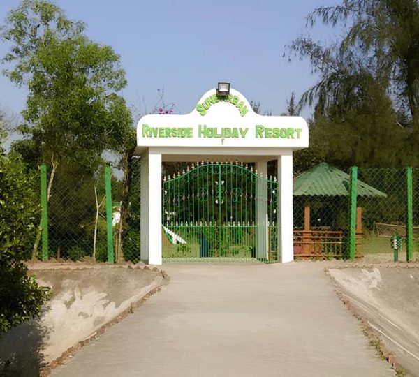Sundarban Gallery
