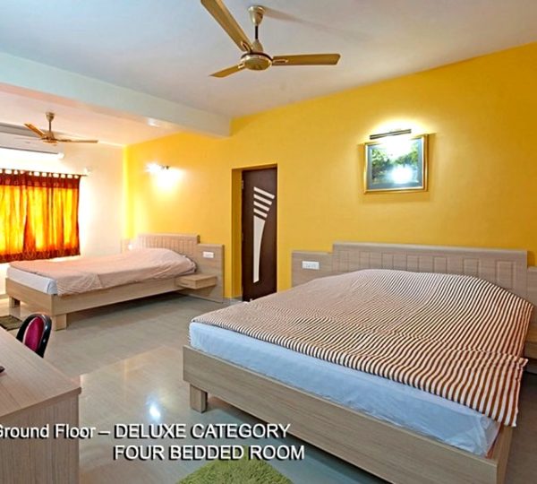 Sundarban Gallery