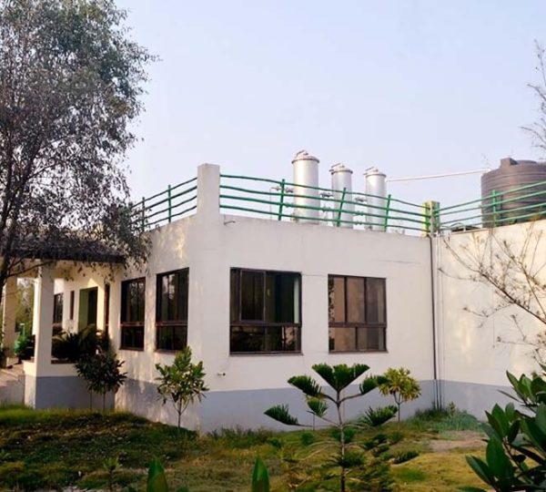 Sundarban Gallery