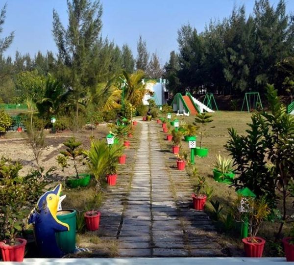Sundarban Gallery