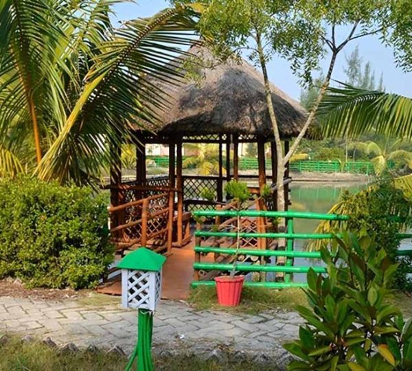 Sundarban Gallery