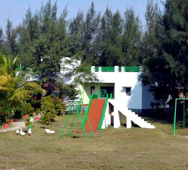 Sundarban Gallery
